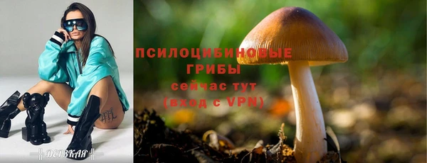 Альфа ПВП Абинск