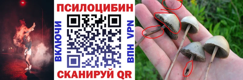 Псилоцибиновые грибы Magic Shrooms  Комсомольск-на-Амуре 