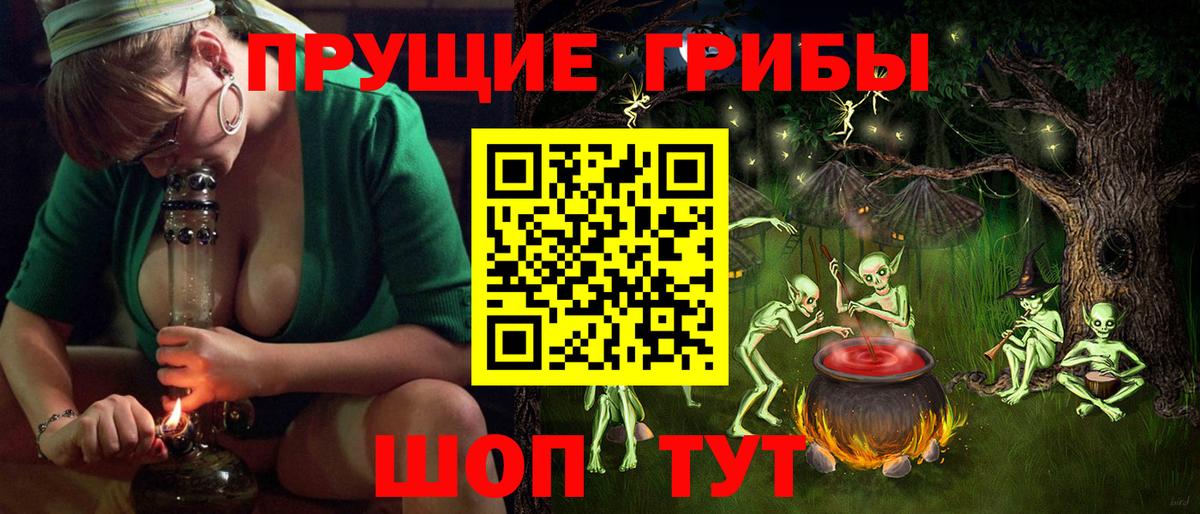 Псилоцибиновые грибы мицелий Комсомольск-на-Амуре
